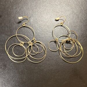 Elegant Gold Hoop Earrings
